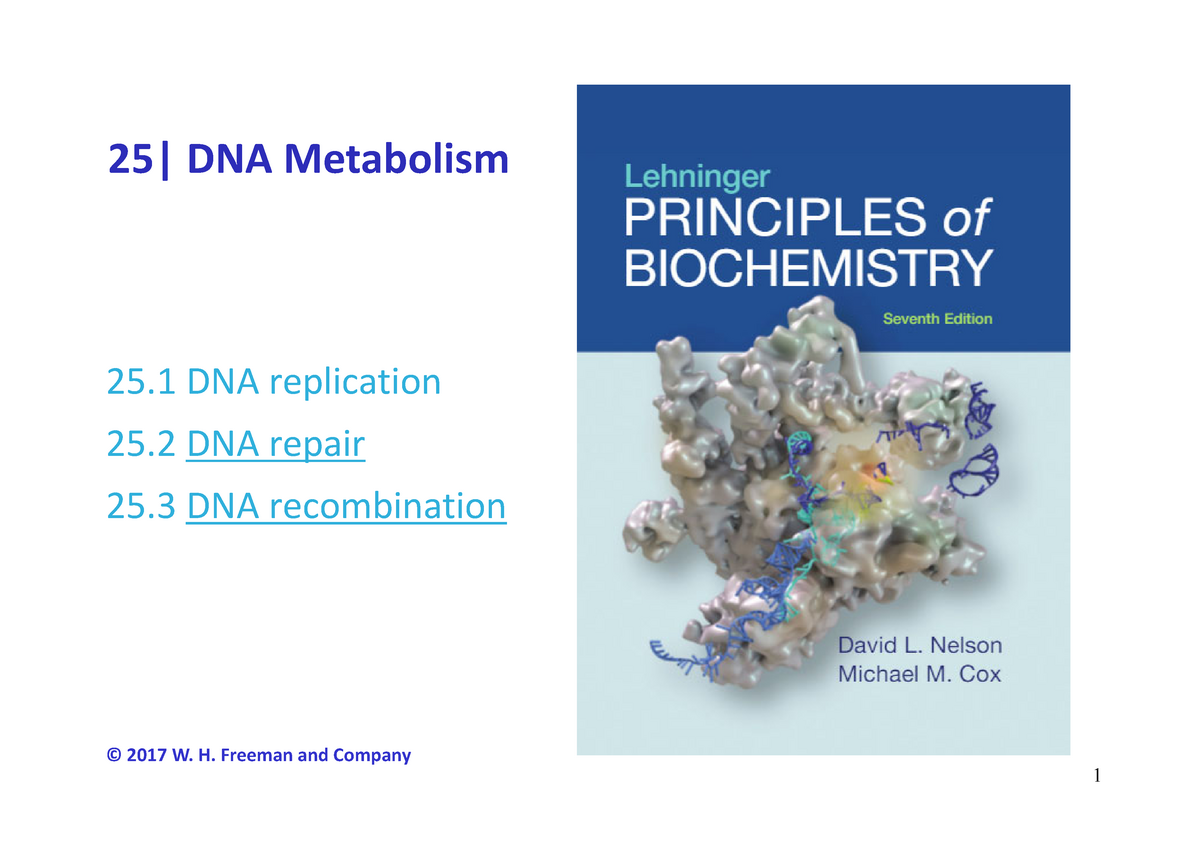 BCM 356 - Week 7 - DNA Repair and Recombination - 25| DNA Metabolism ...