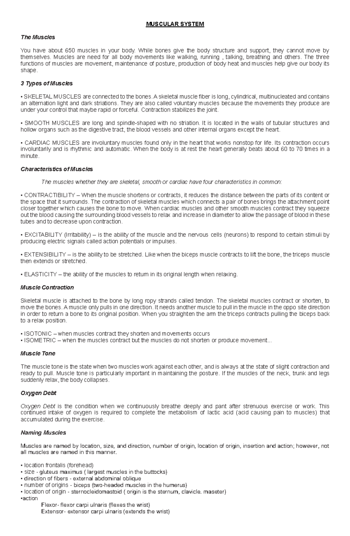 Muscular System - RelEd - MUSCULAR SYSTEM The Muscles You have about ...