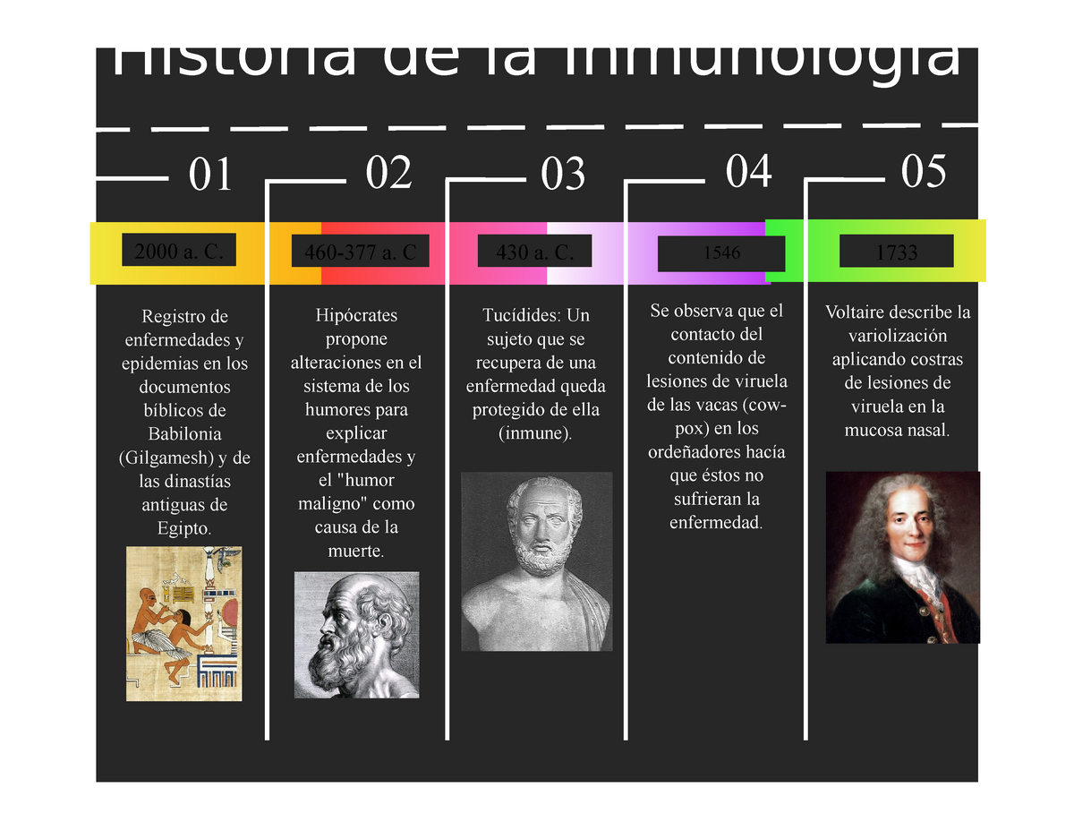 Línea del Tiempo Historia de la Inmunología a C a C a C