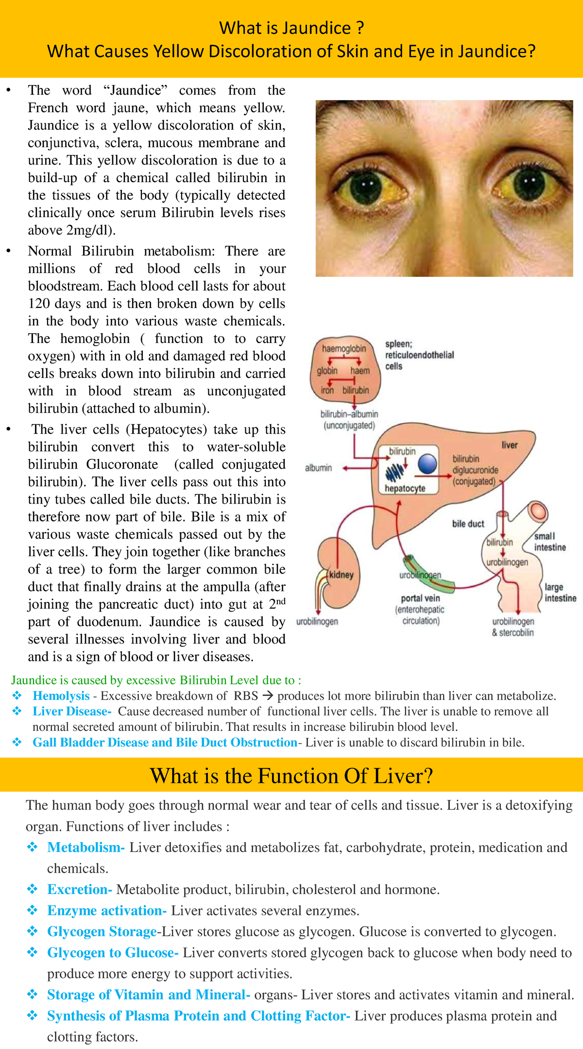 Jaundice OK G What is Jaundice? What Causes Yellow Discoloration of