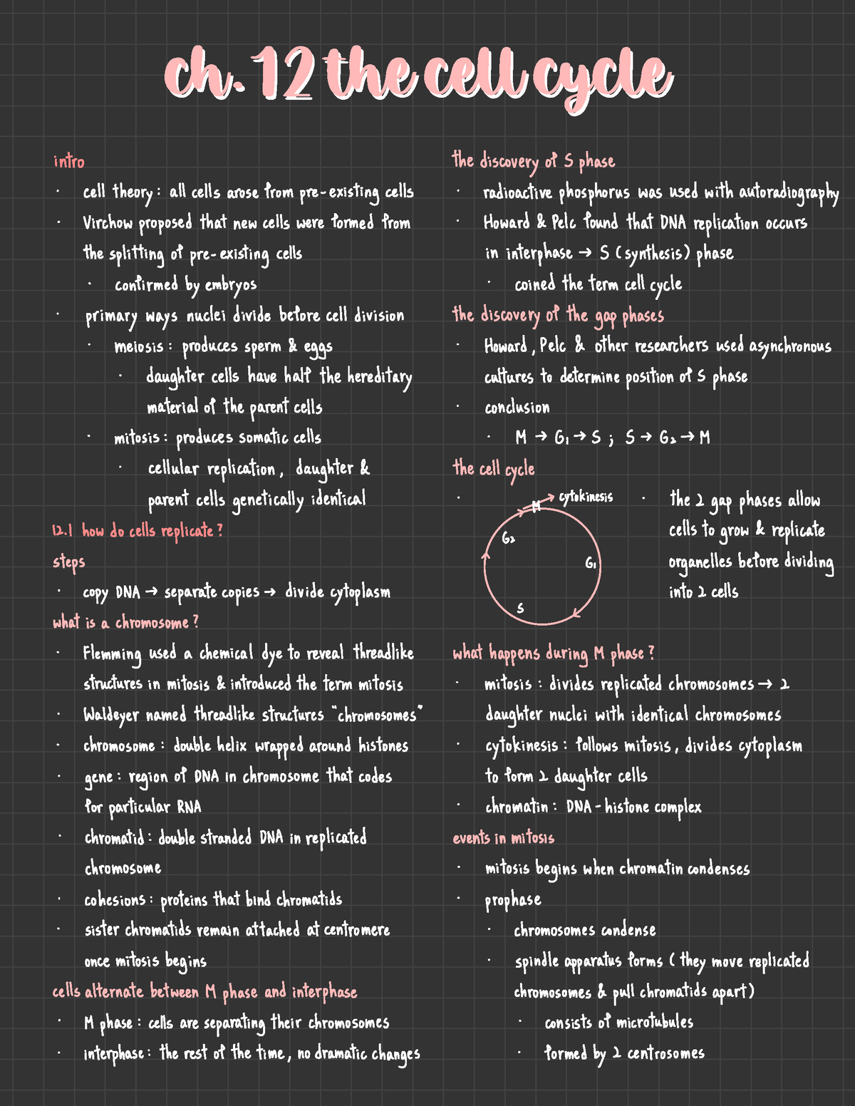 Biol 141 Exam 1 - Lecture notes 4 - ch the cell cycle ch the cell cycle ...