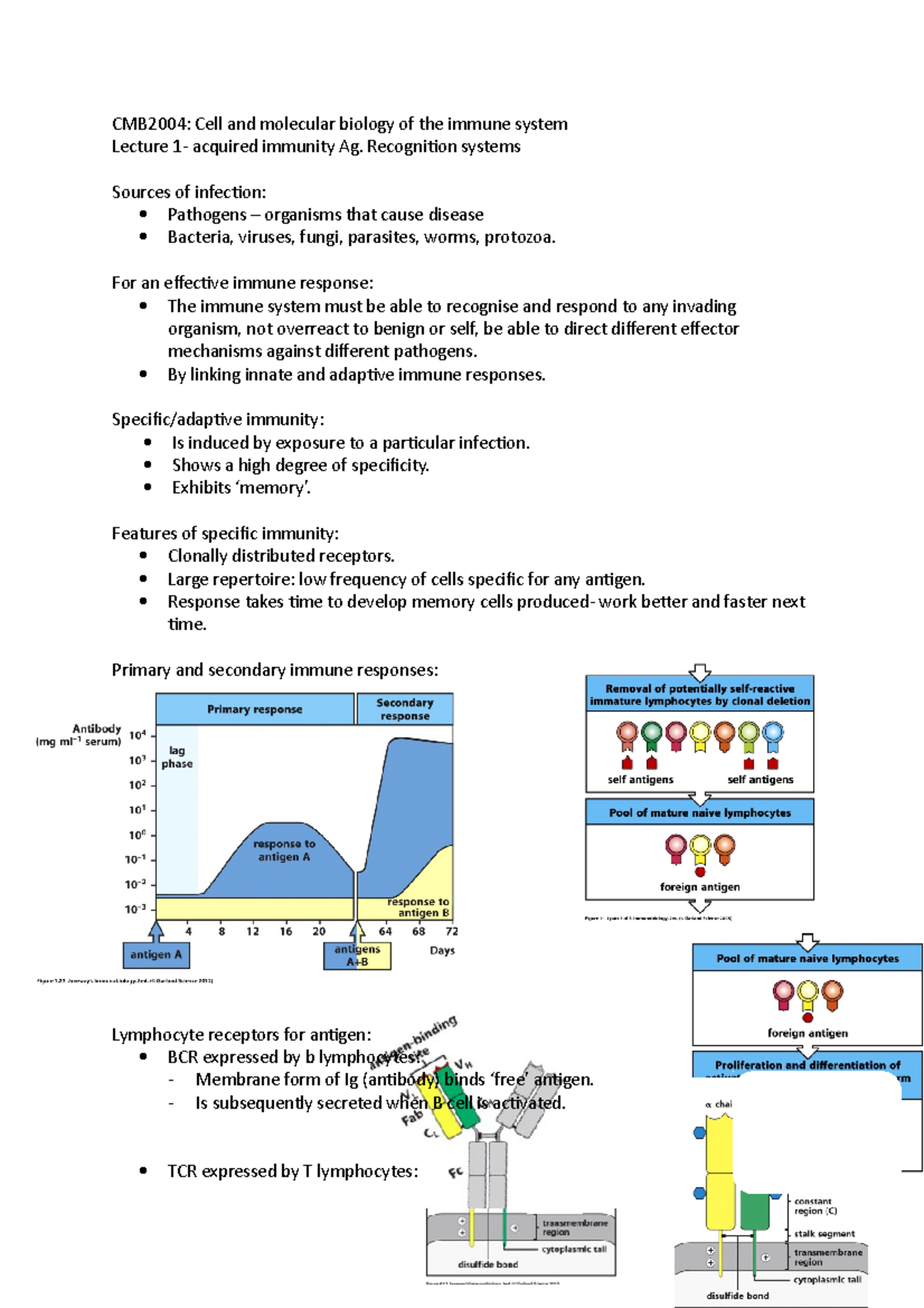 CMB2004 L01 - Lecture notes 1 - CMB2004: Cell and molecular biology of ...