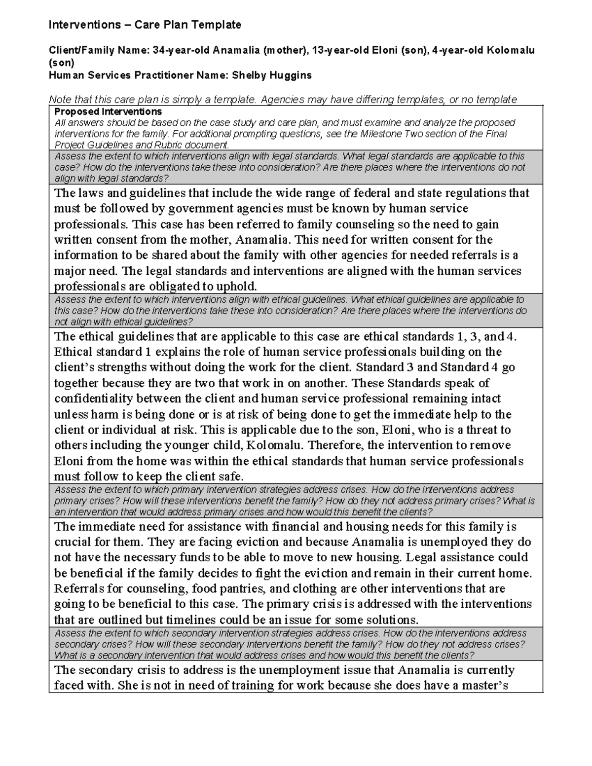 HSE Interventions Care Plan - Interventions – Care Plan Template Client ...