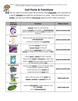 animal cell parts and functions chart