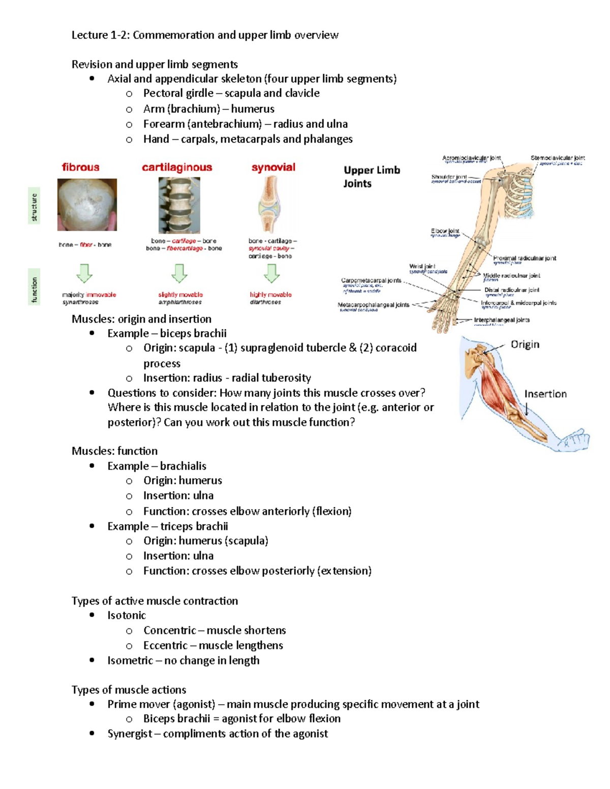 Upper Limb- Lecture Notes MEDI2100 - Lecture 1-2: Commemoration And ...