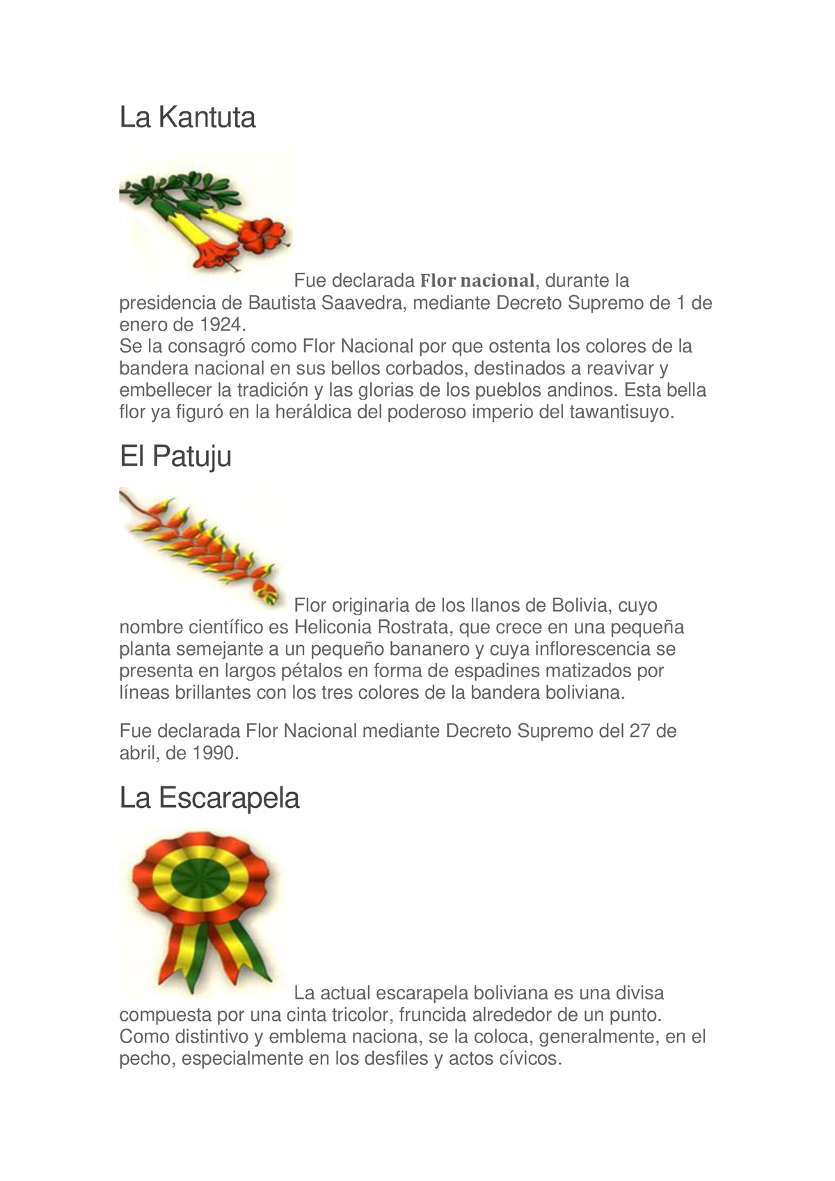 La Kantuta Son Simbolos Patrios De Bolivia La Kantuta Fue Declarada Flor Nacional Durante