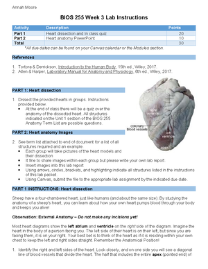 Final LABS BIOS255 Labs BIOS255 Week 2 Heart Lab - BIOS255 Week 2 ...