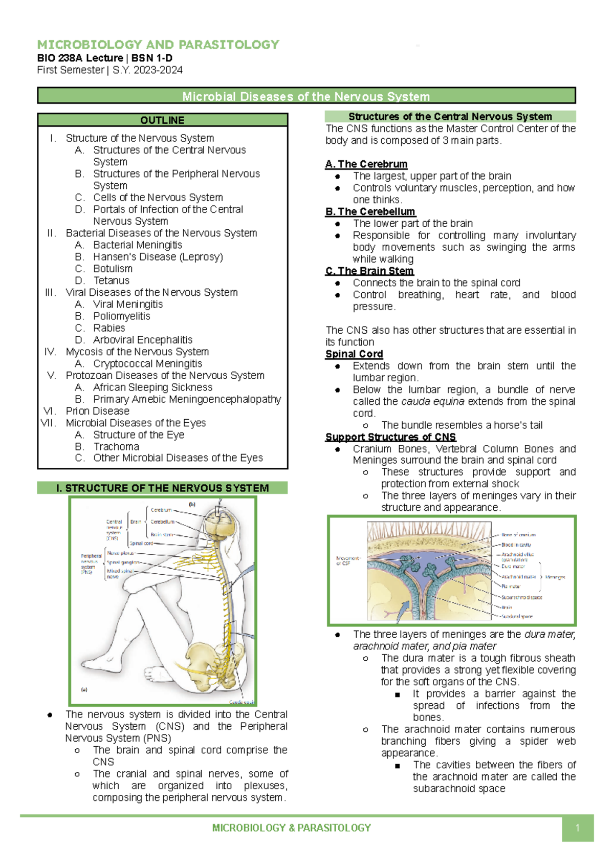 BIO238A Diseases of Nervous System - MICROBIOLOGY AND PARASITOLOGY ...