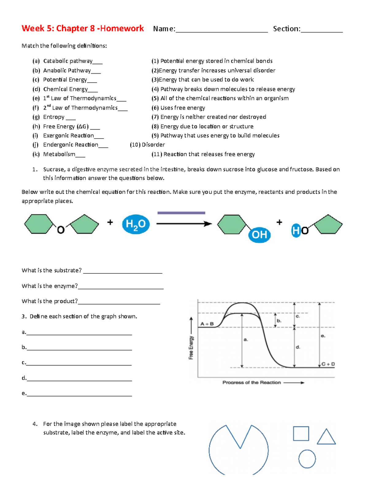 homework & practice 8 5