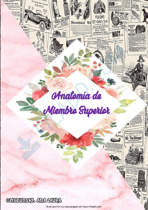 [Solved] Tronco celiaco Anatomía Studocu