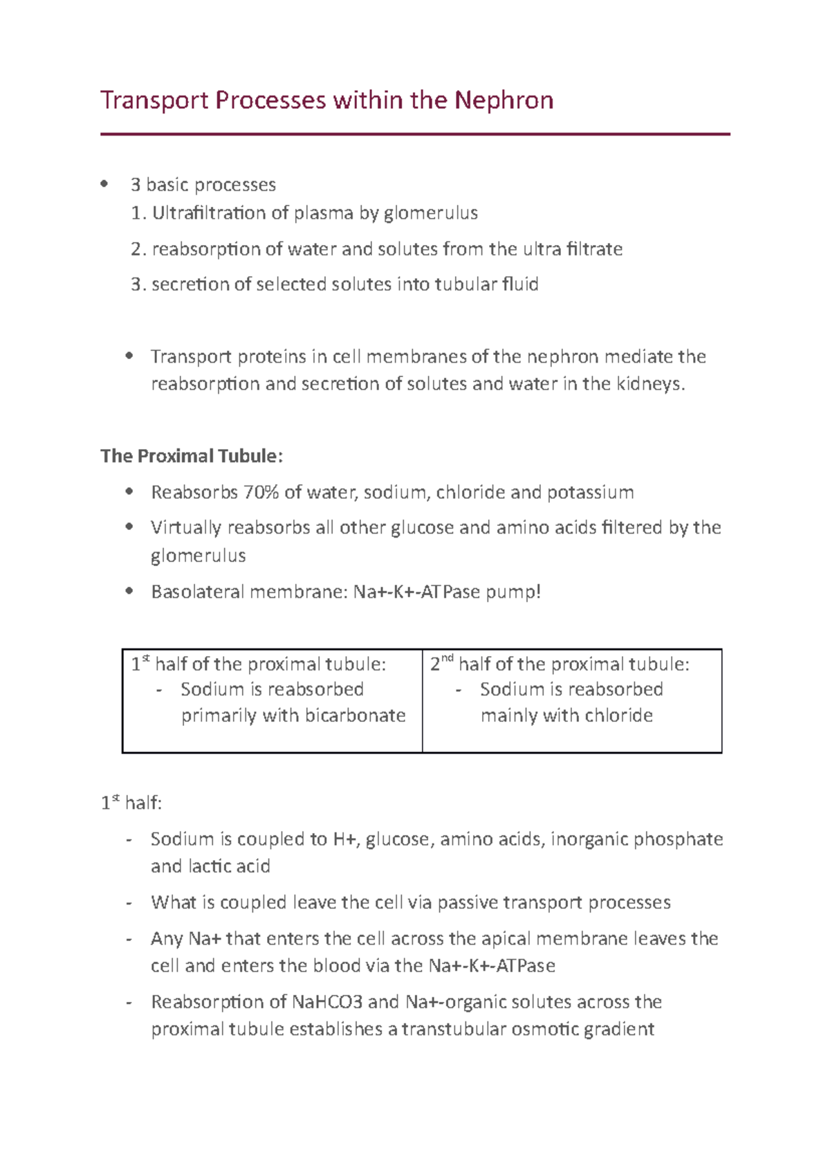 Transport Processes within the Nephron notes - Transport Processes ...