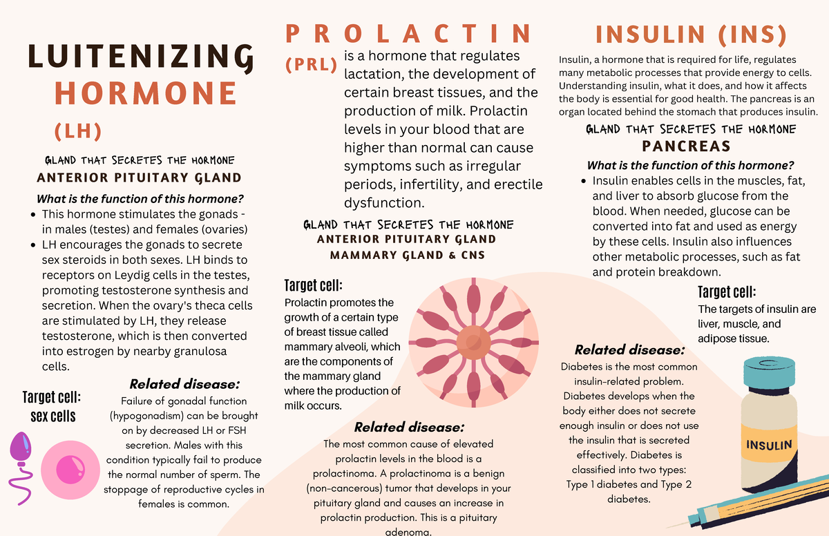 Brochure - L U I T E N I Z I N G H O R M O N E ( L H ) P R O L A C T I