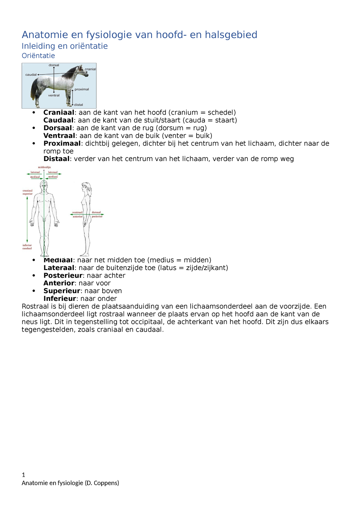 Anatomie En Fysiologie (inleiding) - Anatomie En Fysiologie Van Hoofd ...