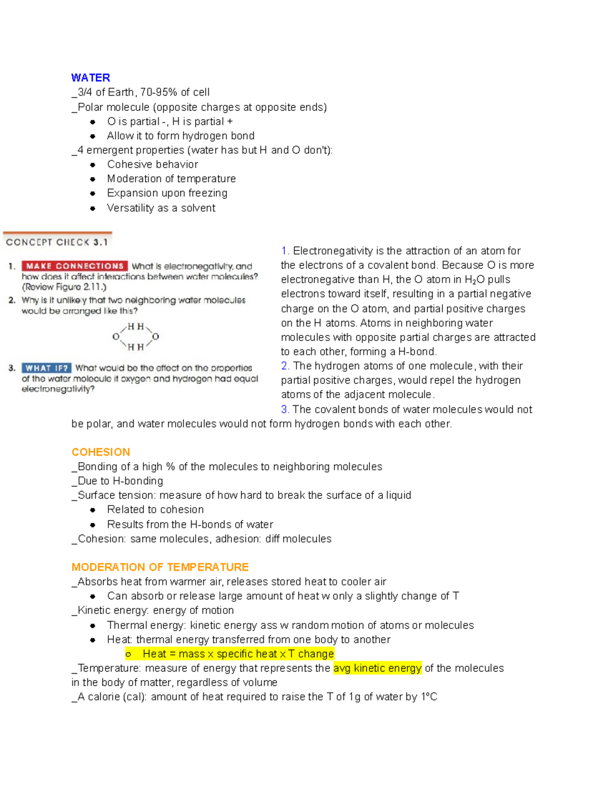 Chap 3 - Lecture notes 3 - WATER _3/4 of Earth, 70-95% of cell - Studocu