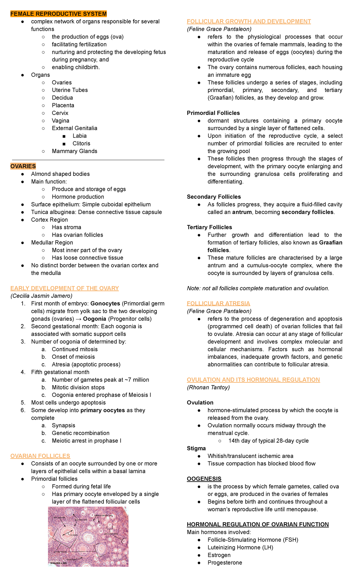 Outline Female Reproductive System - FEMALE REPRODUCTIVE SYSTEM complex ...