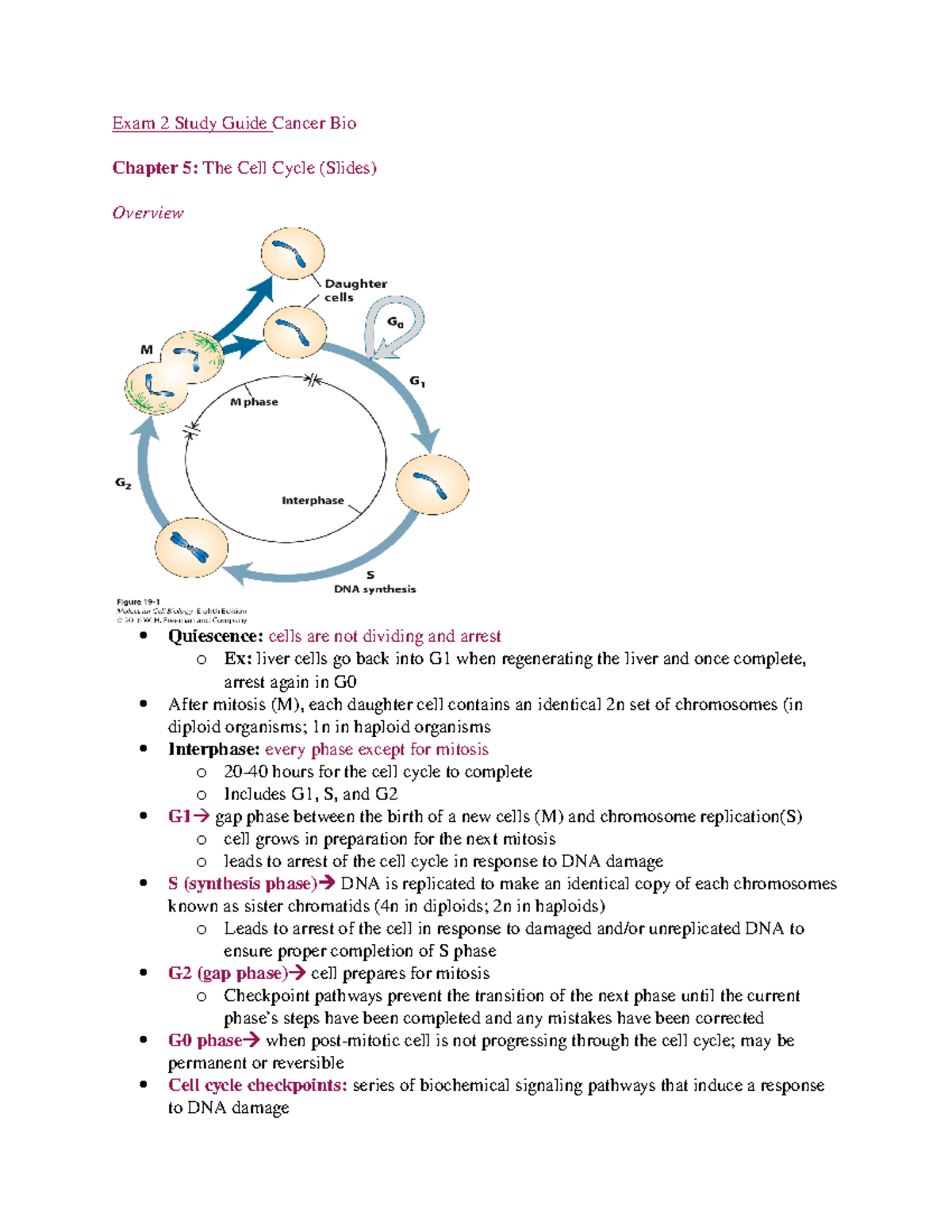 Chapter 5 Study Guide - The Cell Cycle - Exam 2 Study Guide Cancer Bio ...