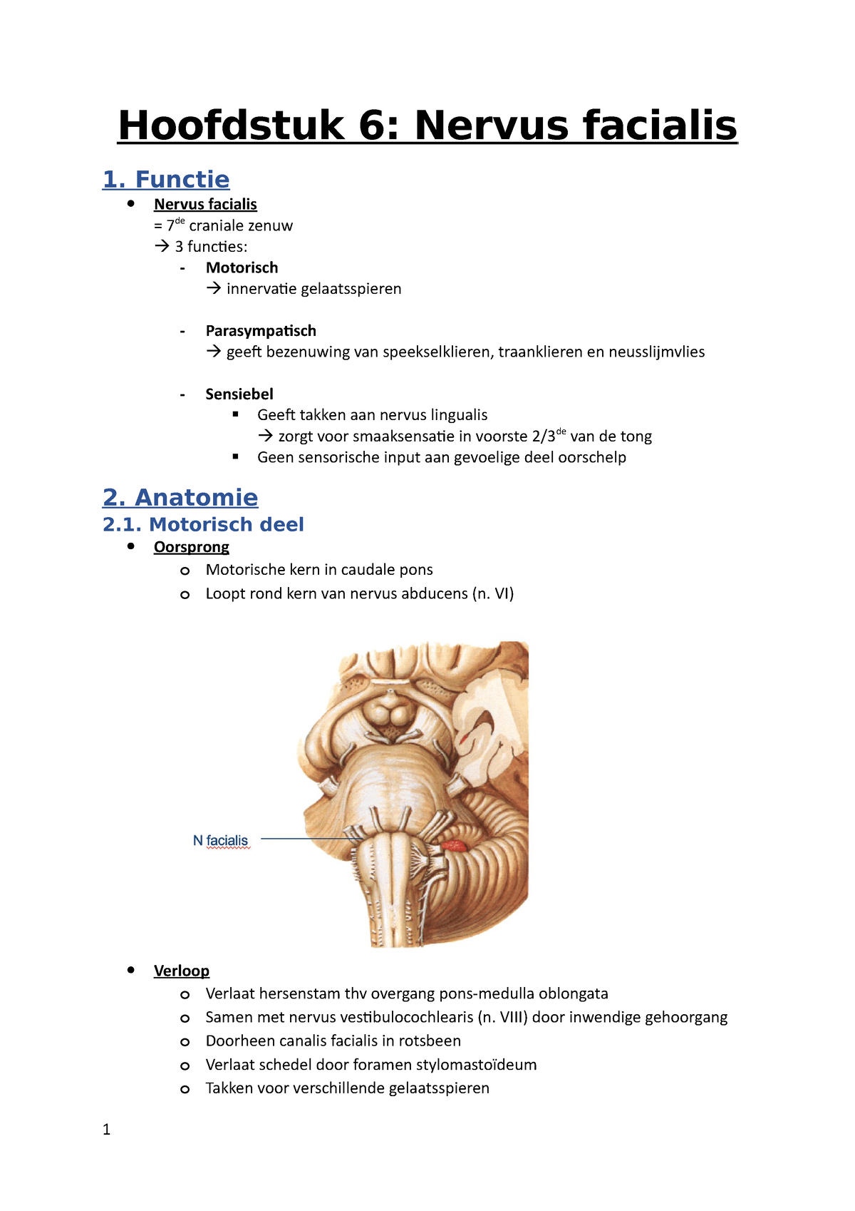 Hoofdstuk 6 Anatomie En Fysiologie Law Samenvatting Van Hoofdstuk 6