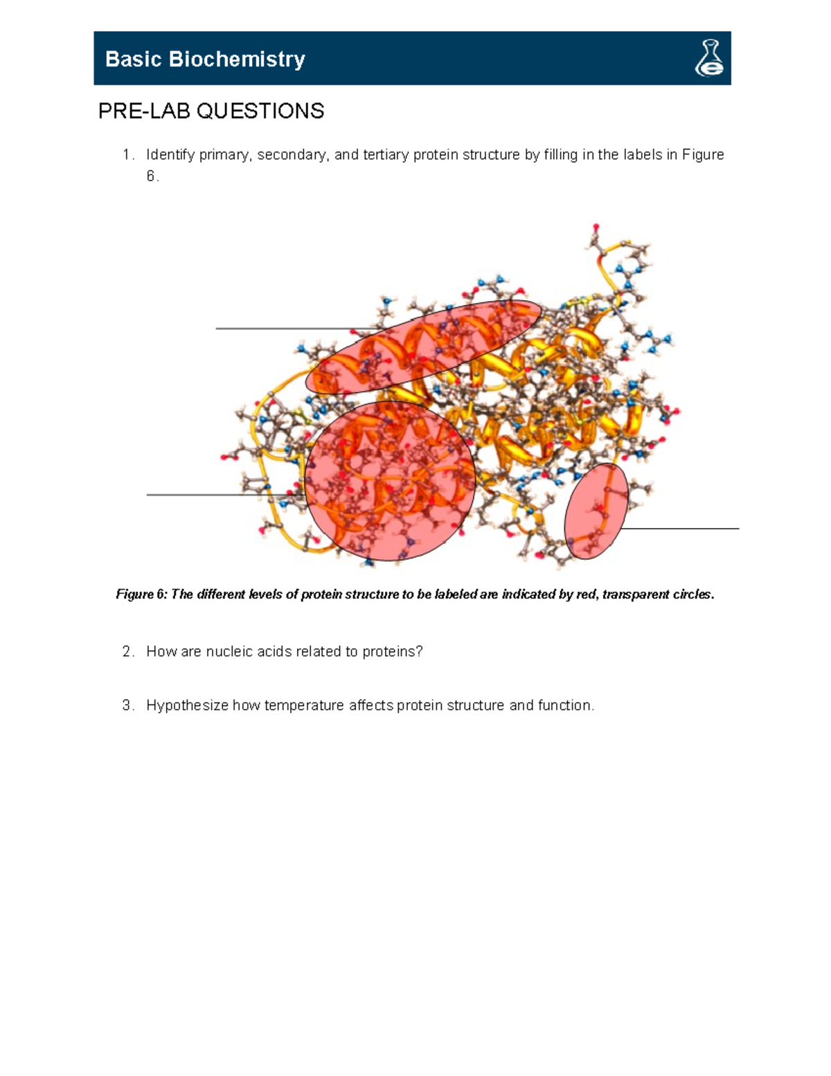 Lab 6 Basic Biochemistry TURN IN - PRE-LAB QUESTIONS 1. Identify ...