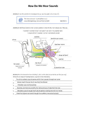 - Gizmo Plants Snails SE - Name: Date: Student Exploration: Plants And ...