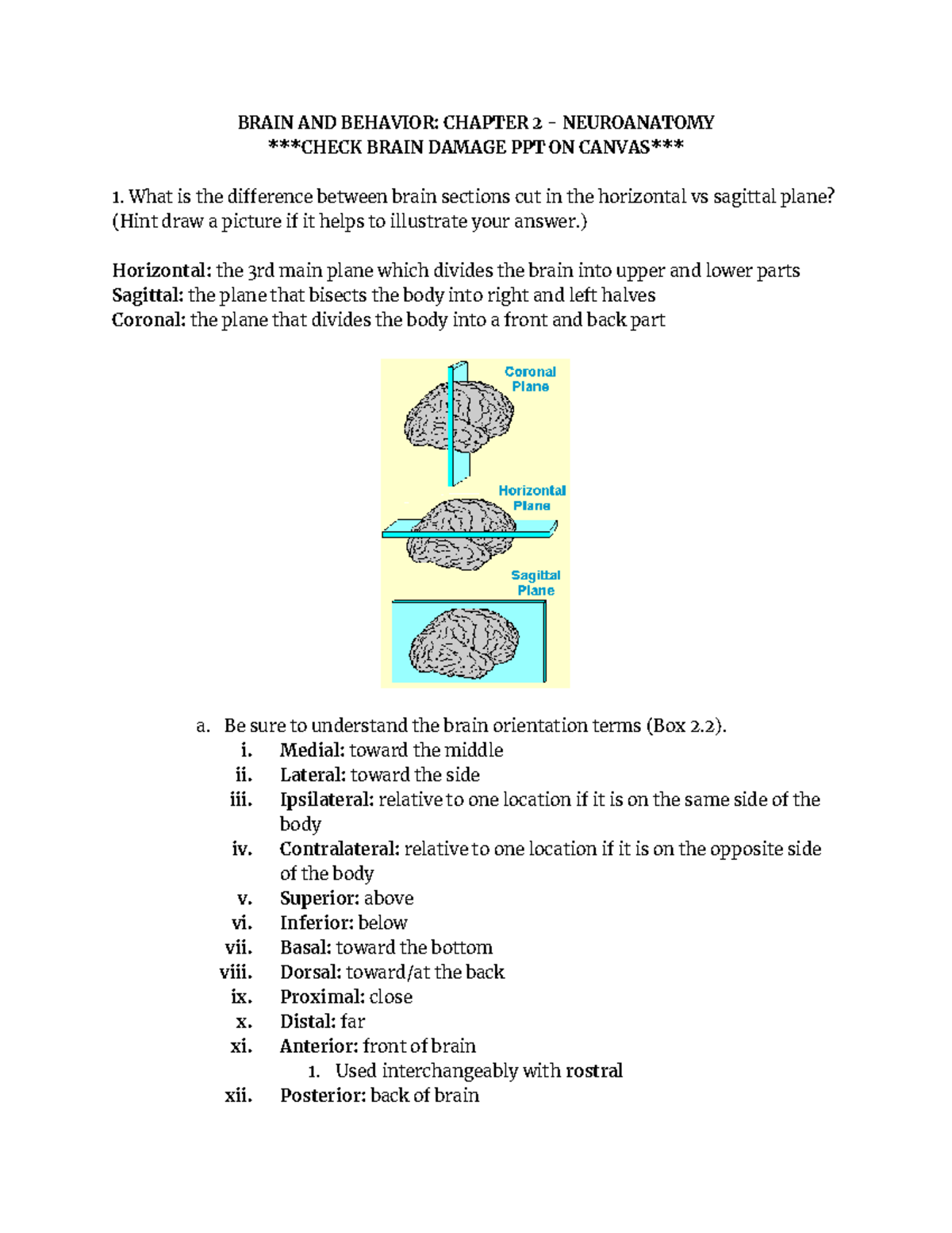 B+B Ch 2 Handout - Brain And Behavior - BRAIN AND BEHAVIOR: CHAPTER 2 ...