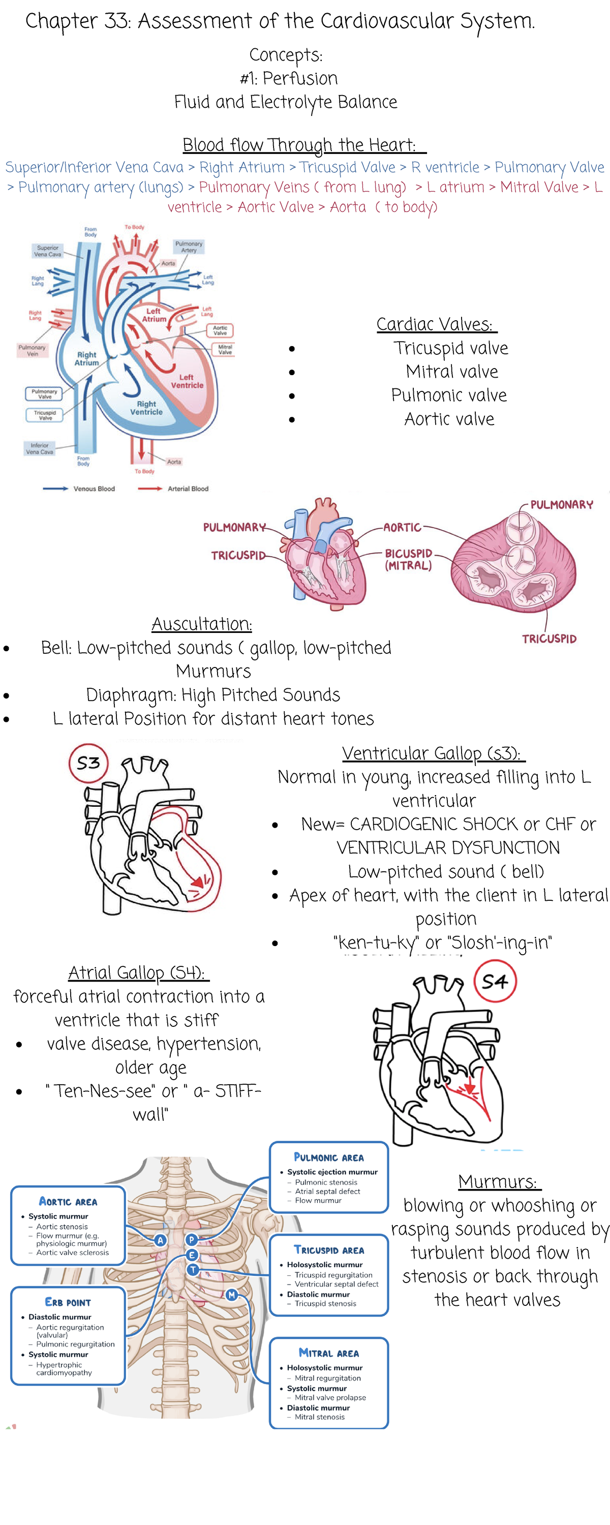 Chapter 33 Assessment of the Cardio Vascular System. - Concepts: #1 ...