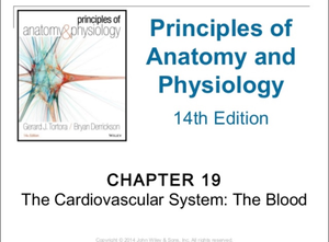 LAB 2 Samra - physiotherapy - List of Experiments S.# EXPERIMENTS NAME ...