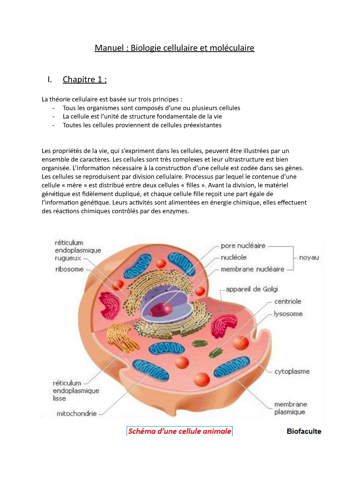 Manuel bio cell&mol Résumé Biochimie et biologie cellulaire Manuel