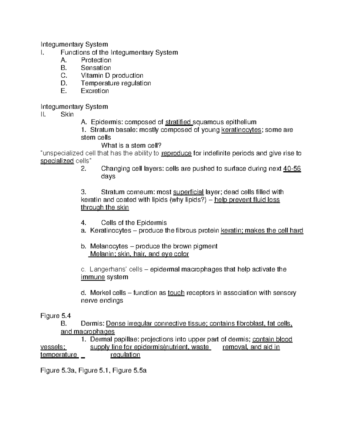 BIOL109 Ch5 Lecture notes - Integumentary System I. Functions of the ...