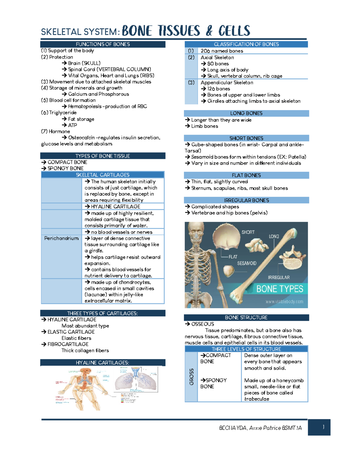ANATOMY AND PHYSIOLOGY BONE Tissues - FUNCTIONS OF BONES (1) Support of ...
