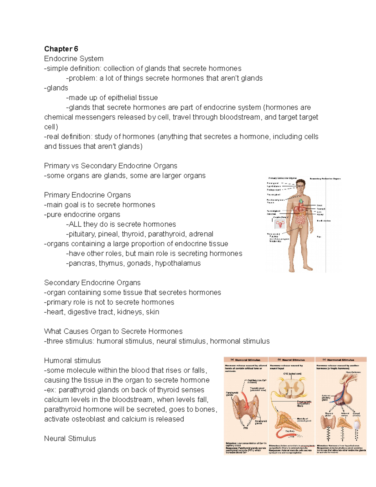 Chapter 6 Endocrine System Chapter 6 Endocrine System simple