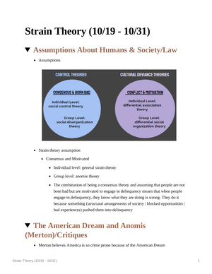 social strain theory