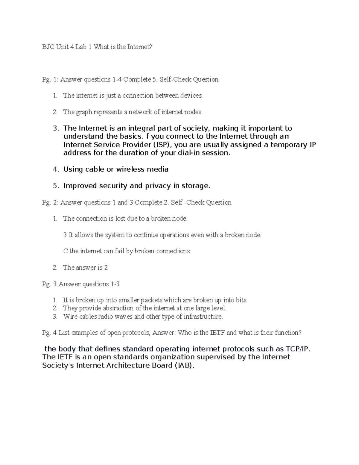 BJC+Unit+4+Lab+1+What+is+the+Internet - BJC Unit 4 Lab 1 What is the ...