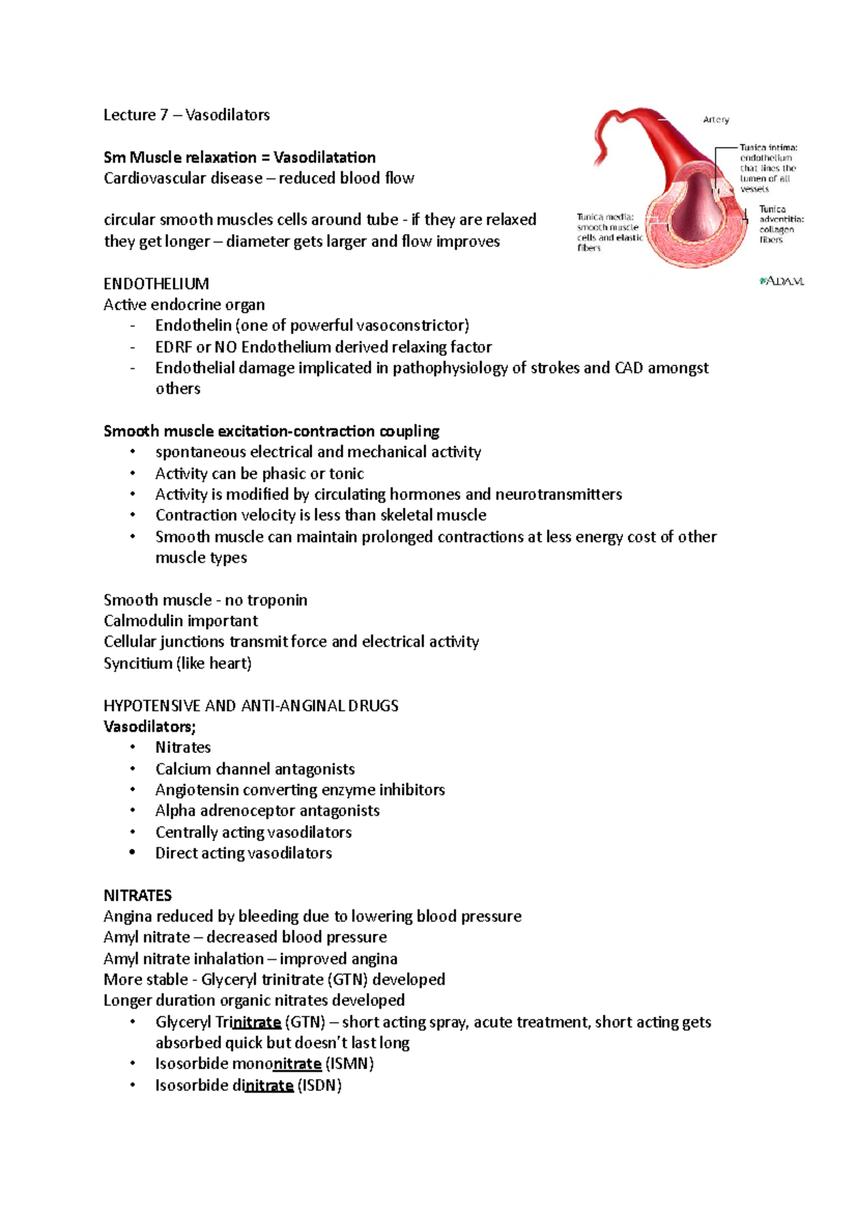 Lecture 7 Vasodilators Lecture 7 Vasodilators Sm Muscle