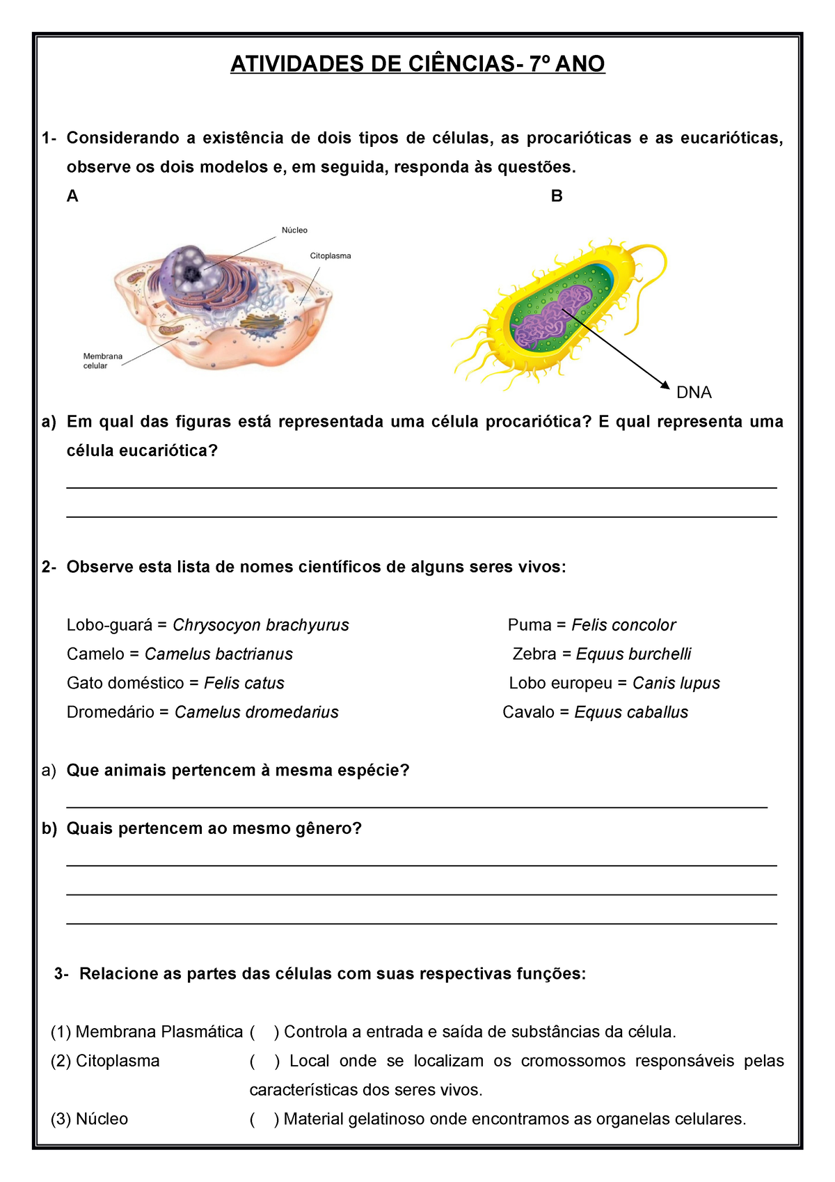 células de ciências biológicas do 7º ano