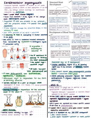 Lab Notebook - Developmental Bio Lab · Lab 1: DNA - Proteins pops 1 ...