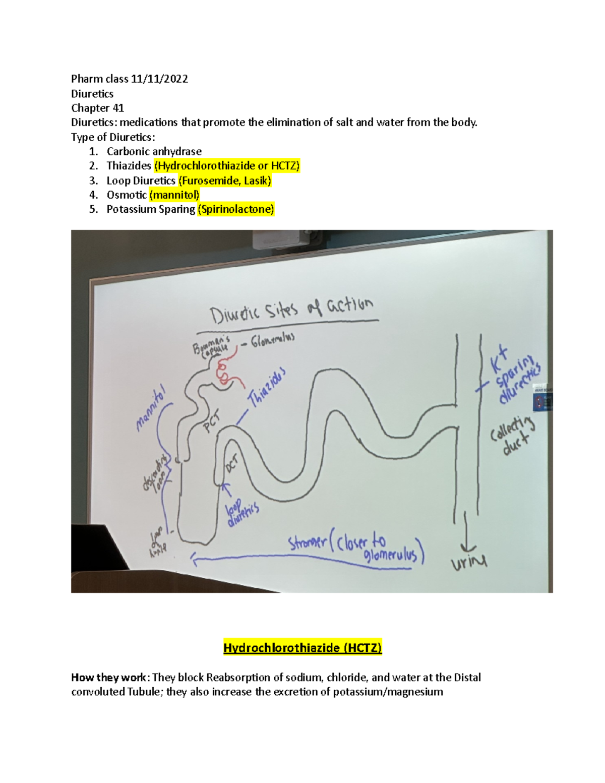 Exam 3 - Study Guide - Pharm Class 11/11/ Diuretics Chapter 41 ...