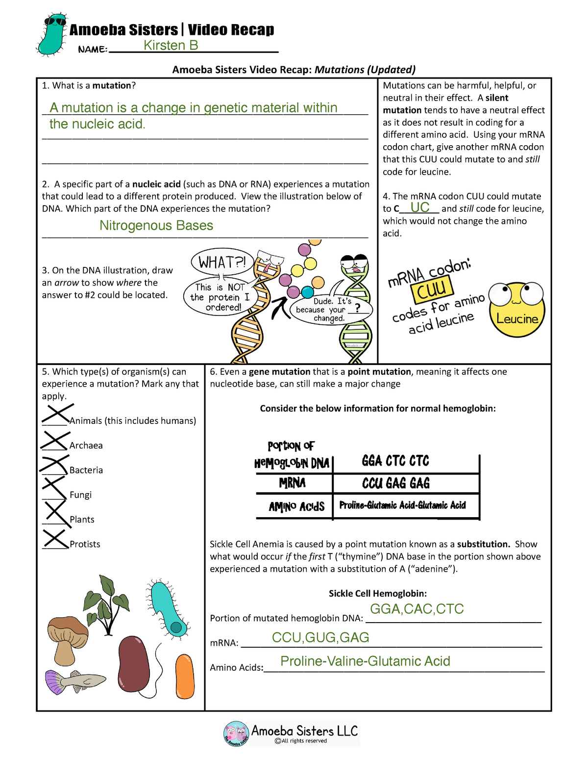 Amoeba Sisters Meiosis Worksheet Answer Key Amoeba Sisters Enzymes Answers Pdf A 