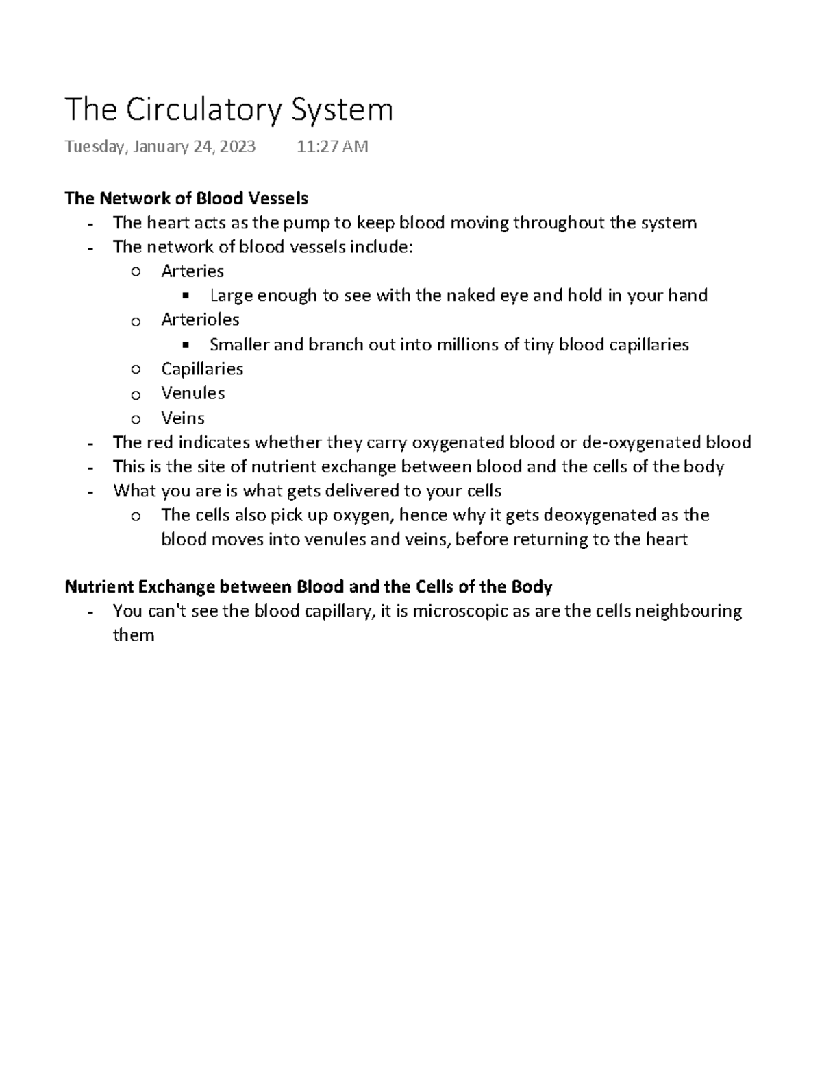 L3 The Circulatory System The Network of Blood Vessels The heart