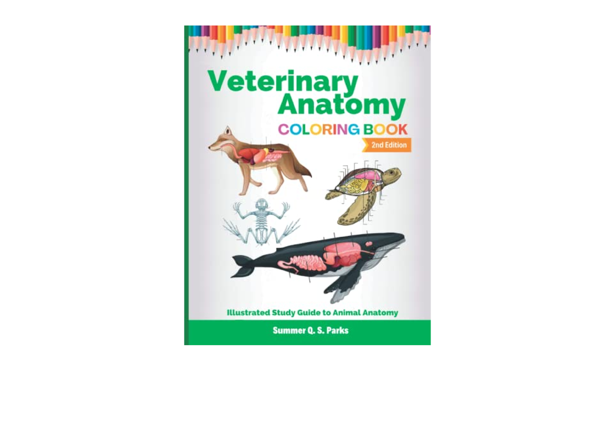 Download Veterinary Anatomy Coloring Book Animal Anatomy and Veterinary