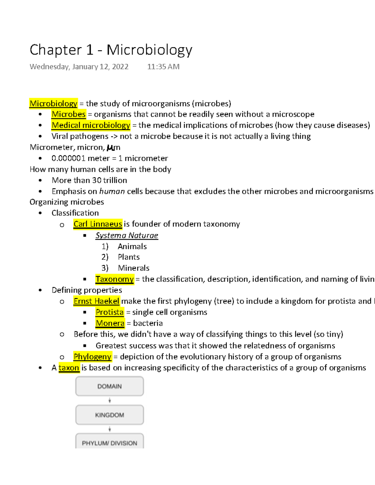 Chapter 1 - Microbiology - Microbiology = The Study Of Microorganisms ...