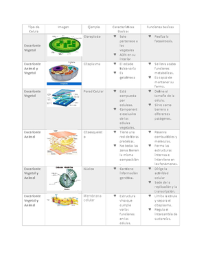 Ciencias De La Vid Ejercicio 3 Opcion 1 Studocu