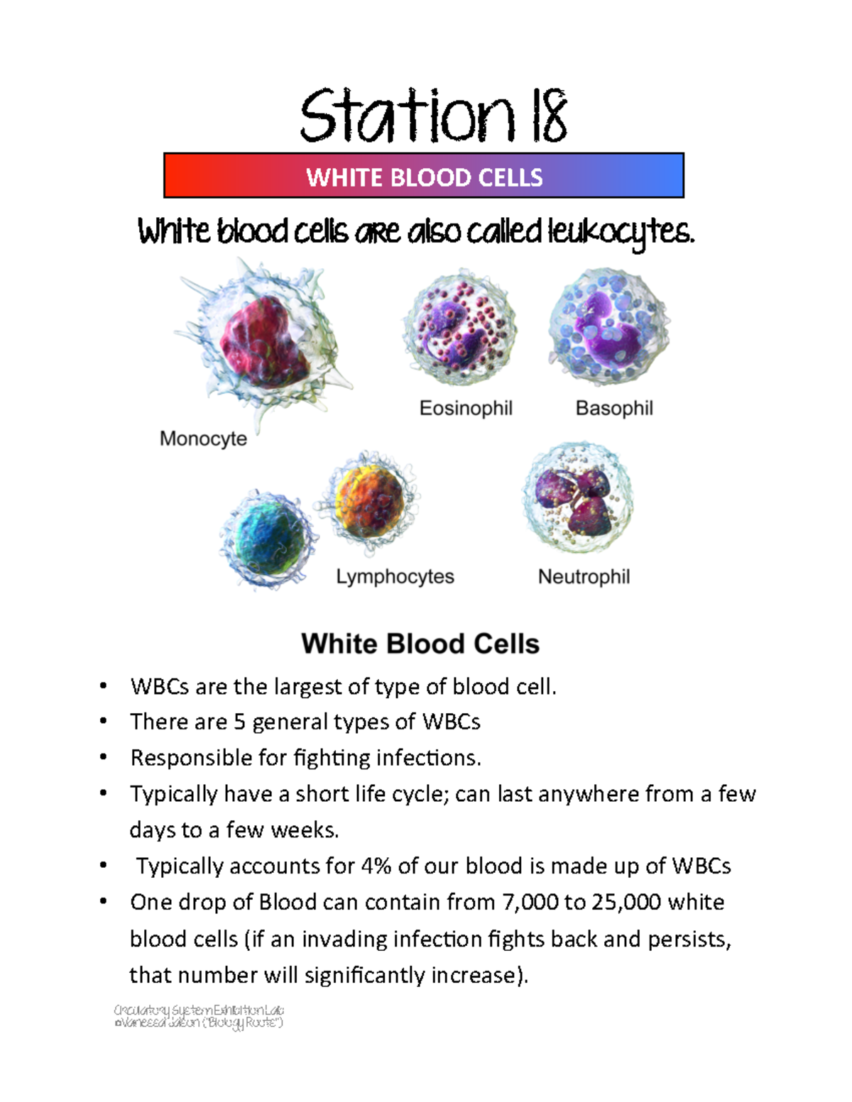 Station 18 I just needa get a file bro Circulatory System