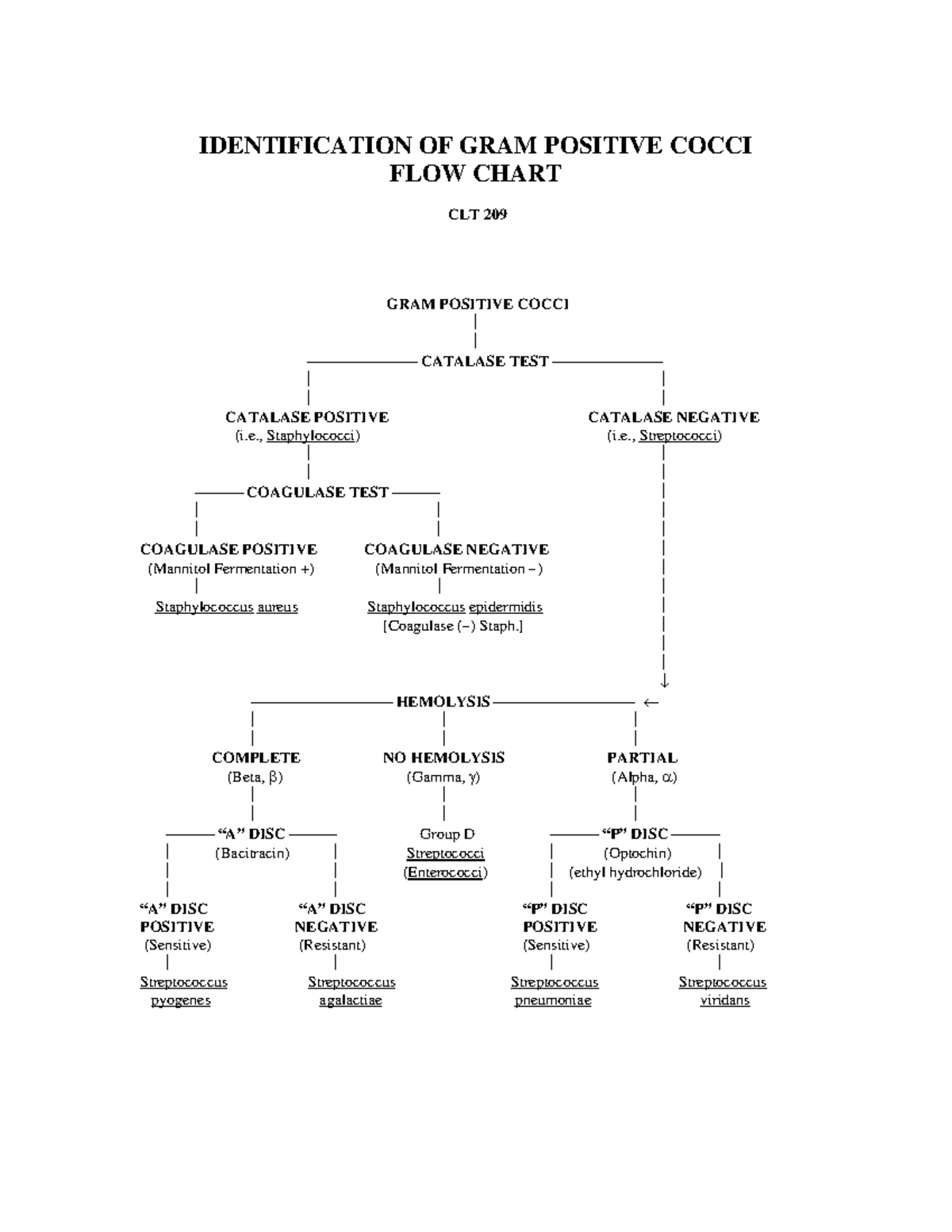 Identification of GPC Flow Chart - IDENTIFICATION OF GRAM POSITIVE ...