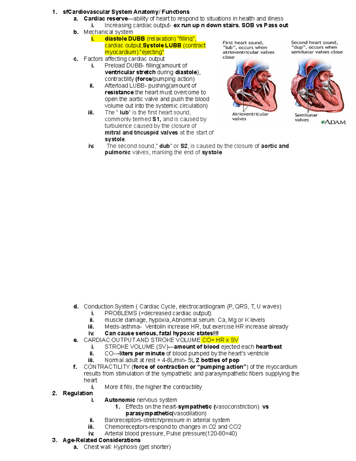 Test 2 - PRACTICAL NURSING, THEORY IIA - sfCardiovascular System ...