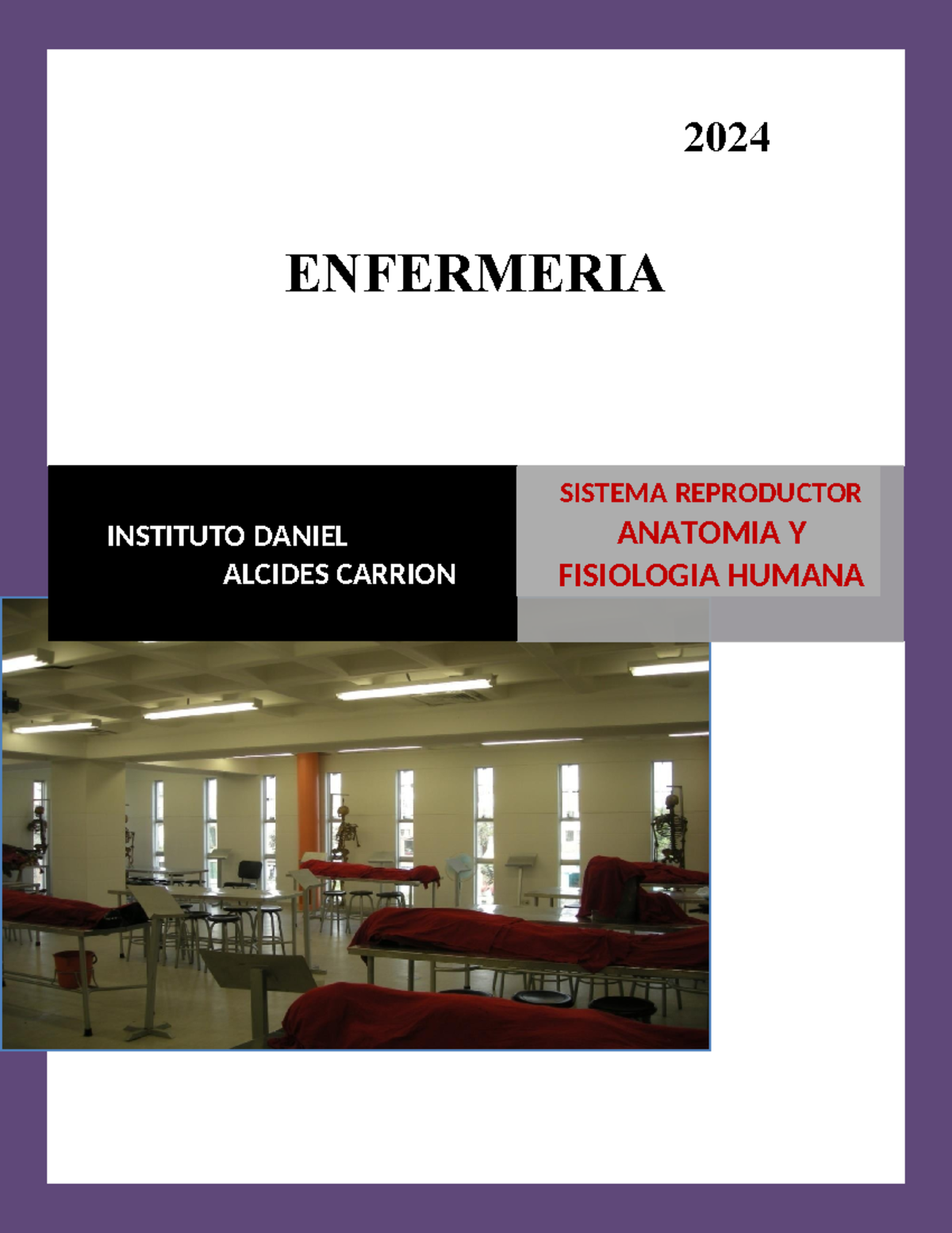 11 Guia Reproductor 2024 Enfermeria Instituto Daniel Alcides Carrion Sistema Reproductor 9518