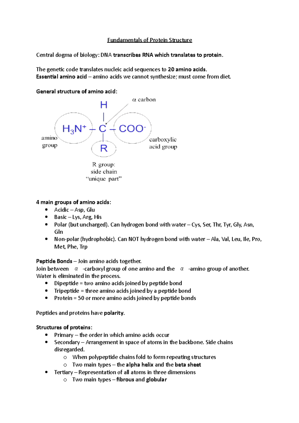 Lecture 1 - BIOC - Fundamentals of Protein Structure Central dogma of ...
