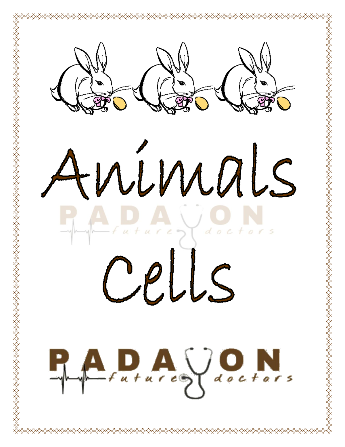 animal-cells-notes-for-review-definition-of-animal-cell-the-three