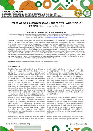 format of research paper chapter 4 and 5