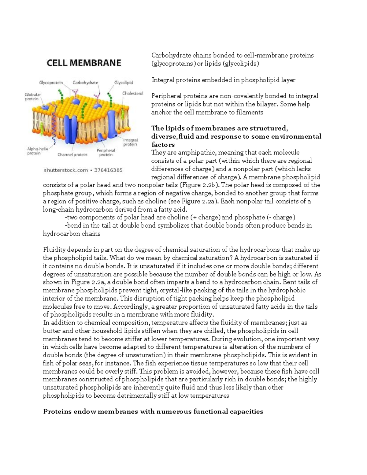 Zoology 241 Textbook Notes - Carbohydrate chains bonded to cell ...