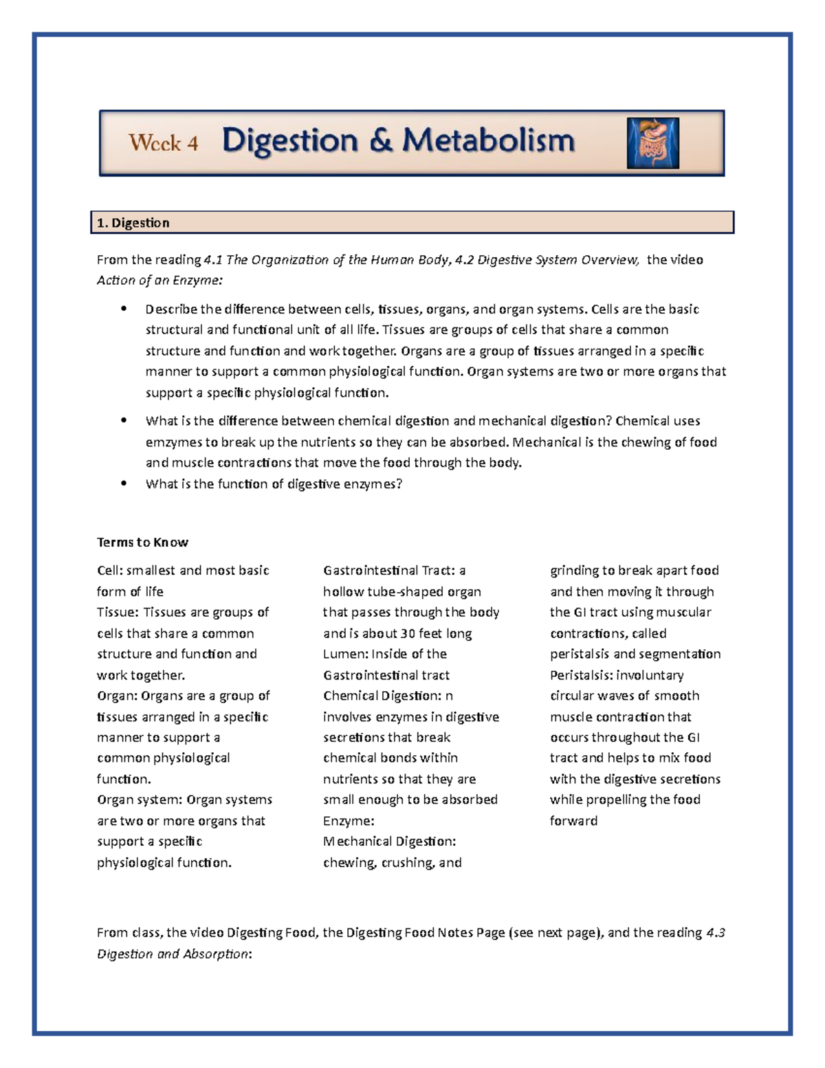Week04 Study Guide - Digestion From the reading 4 The Organization of ...